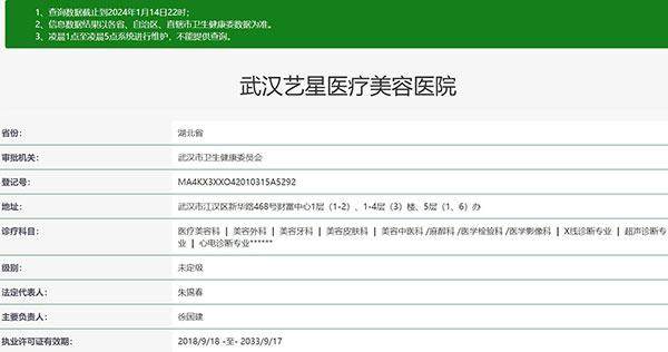 武汉艺星医疗美容医院2025整形收费标准