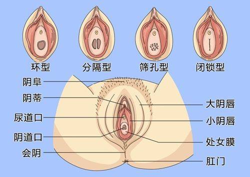 湛江柏乐口腔门诊部牙齿矫正项目价格