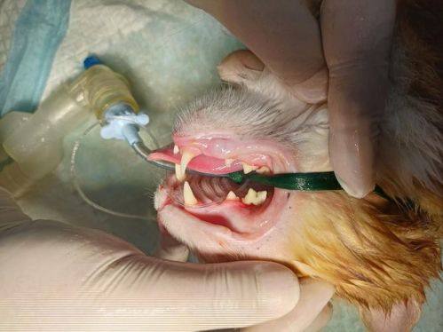 贵阳利美康口腔(金阳分院)的优质服务体验