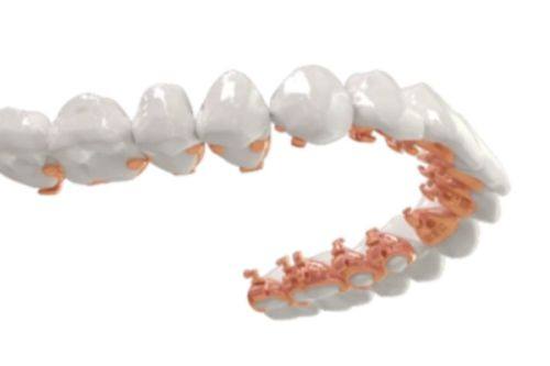 北京禾禾齿科是谁的产业？这有张栋梁团队简介、电话地址及患者真实评价