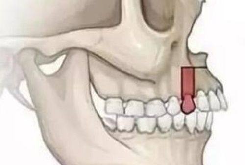 西安双宝口腔医院:靠谱医生,技术不错