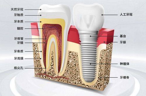 丽水亮贝美口腔医院是不是正规的?资质合法正规审批 | 智能化技术与设备 | 服务好口碑称赞!