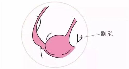 成都布莱梅联合口腔医院:总结与建议