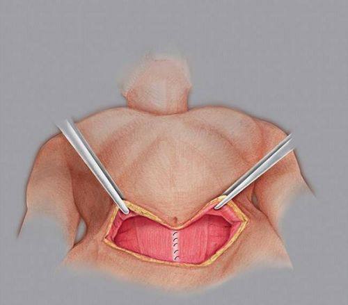 大连爱齿口腔门诊价格表公开!口腔医美项目价格透明可放心参考