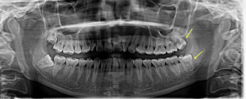 沈阳馨格口腔门诊部：值得信赖的口腔健康守护者