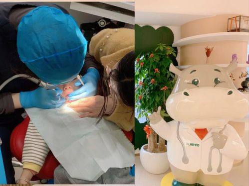 山东泰安牙博士口腔怎么样？