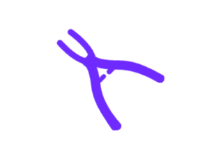 五、儿童口腔保健:定期洗牙+日常护理,双重守护牙齿健康