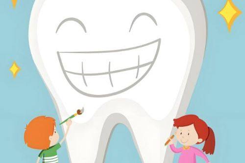 二、高性价比优选:预算有限也能选到实用植体