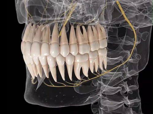 广东韶关陈建彬口腔医生名单及擅长领域: