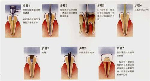 石家庄科瓦口腔诊所地址电话及营业时间
