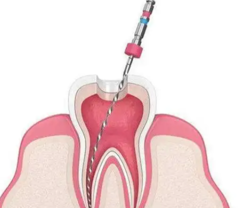 株洲乐莎莎口腔医生名单及擅长领域：