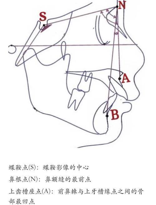 孙海燕医生怎么预约