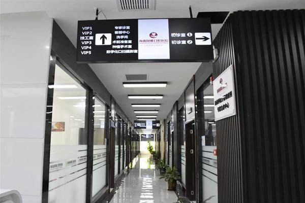 张乐音医生擅长领域