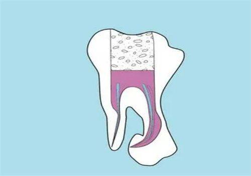 北京佳美口腔西坝河门诊价格表