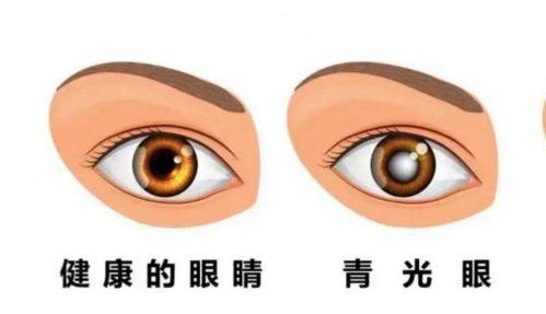 山西太原环球视光地址电话及营业时间