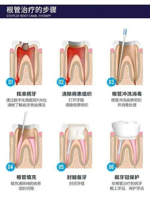 鄂尔多斯市东胜区张辉口腔诊所预约挂号方式